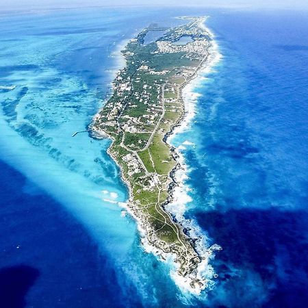 Depas Flamboyan Centro De Cancun D1 المظهر الخارجي الصورة